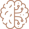 brain-4.png